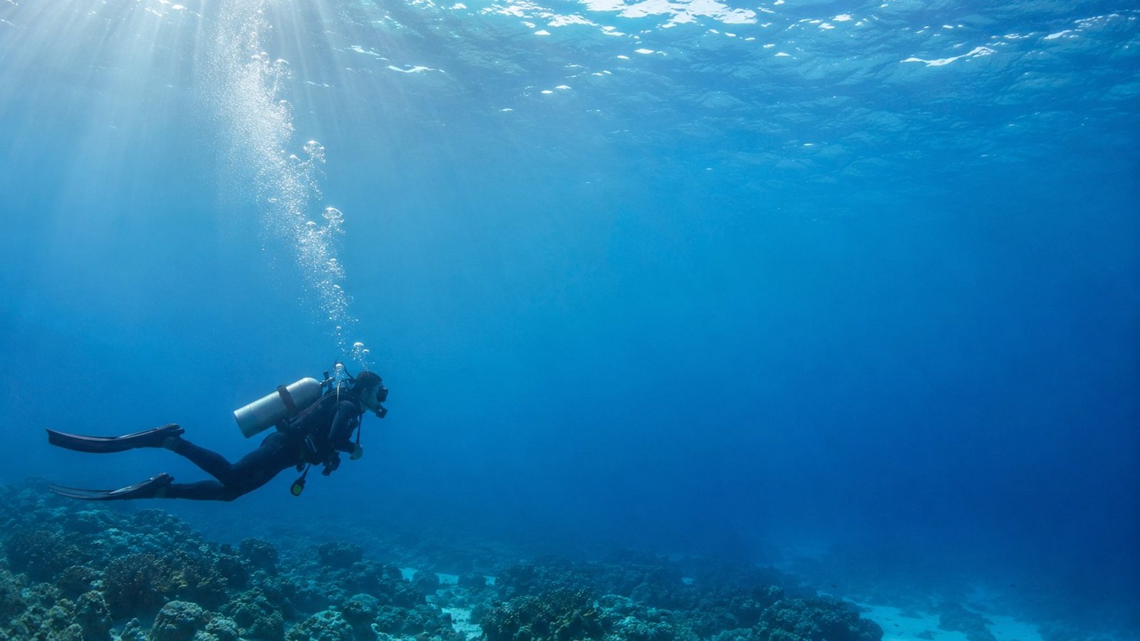Scuba diver underwater