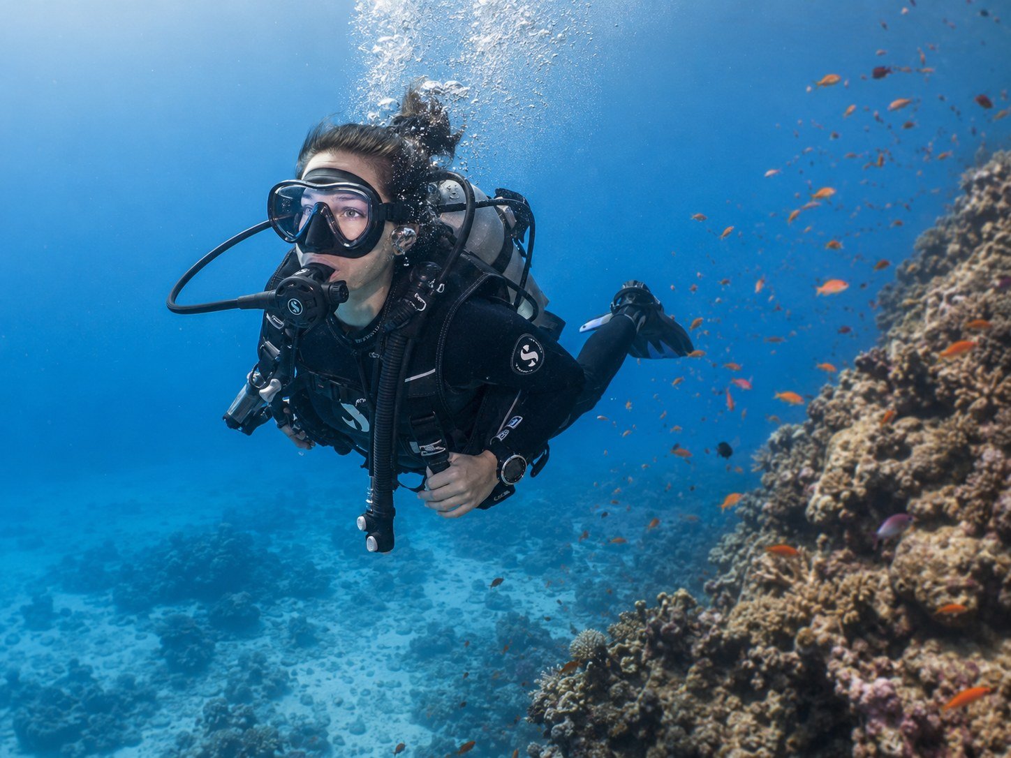 Ocean conservation activity